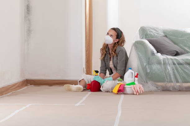 Reliable Mold Remediation contractor in Glen Ellyn, IL by 24 Hour Mold Removal